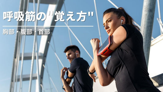 呼吸筋はどこにある? 体の中にある呼吸筋の覚え方を紹介