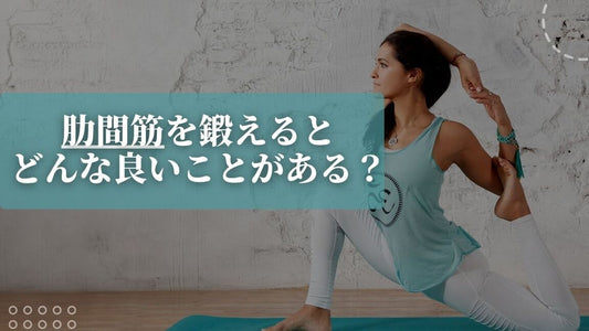 【外肋間筋と内肋間筋の違いとは？】肋間筋の位置と役割を解説！