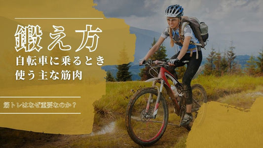 【自転車に乗る人は必見！】サイクリングで使う筋肉を効率的に鍛えるには？