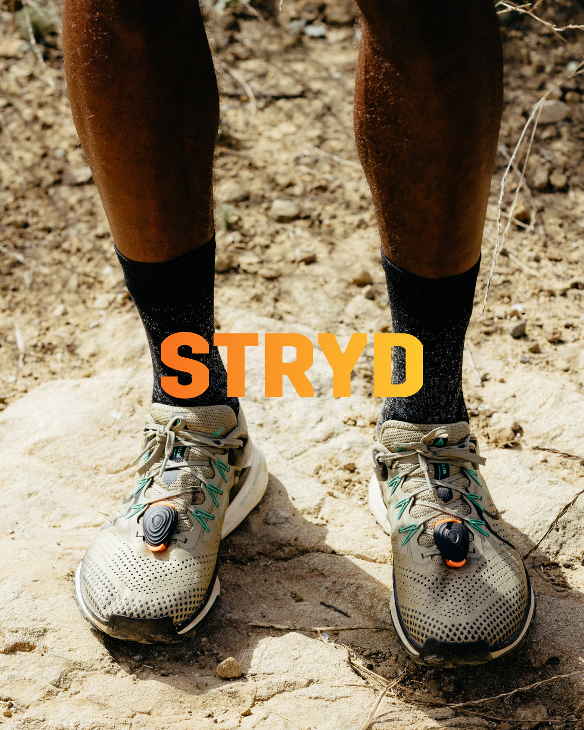 STRYDとは – Aoiro.shop